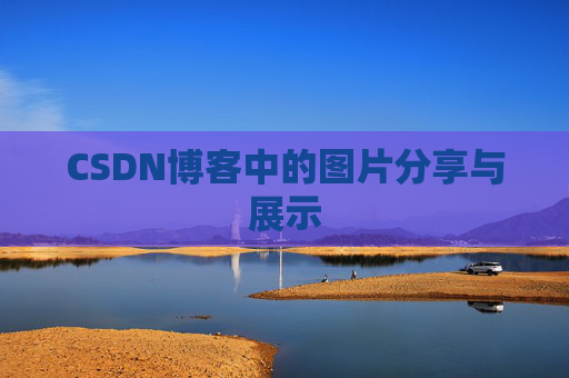 CSDN博客中的图片分享与展示